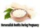 The benefits of Horseradish during pregnancy