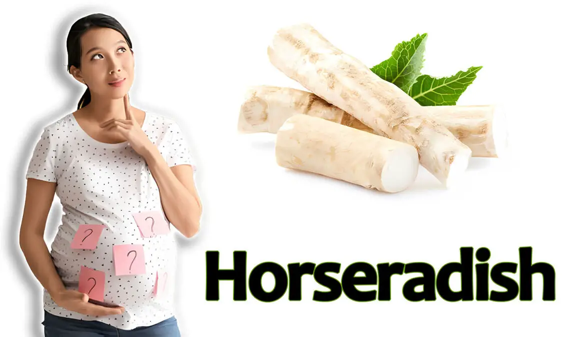 Horseradish during Pregnancy