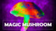 magic mushroom during pregnancy