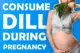 Consume dill during pregnancy
