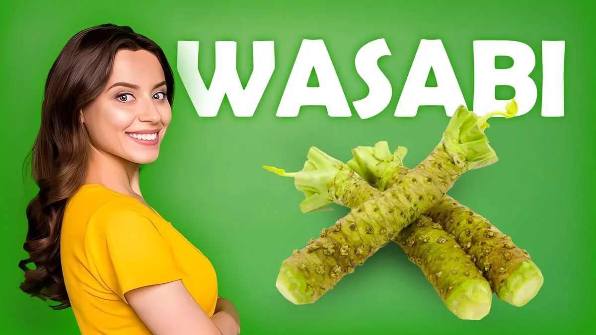 wasabi during pregnancy