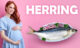 herring during pregnancy