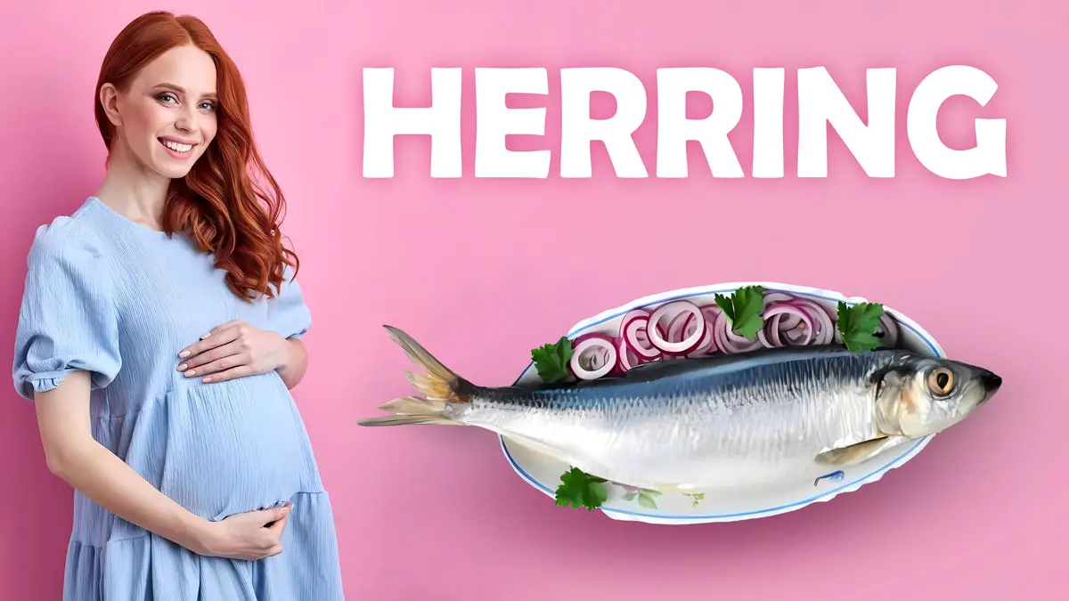 herring during pregnancy