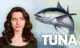 tuna during pregnancy