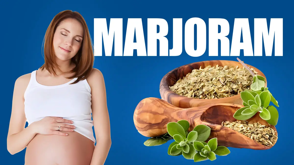 marjoram during pregnancy