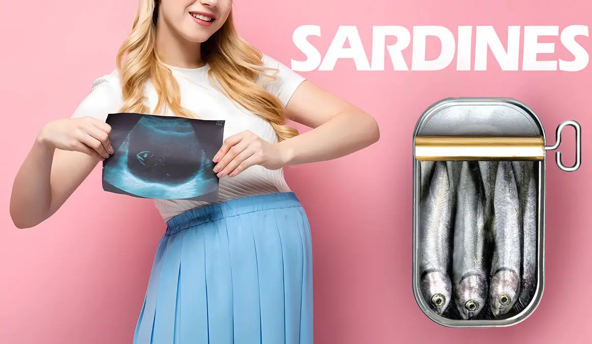 Sardines During Pregnancy