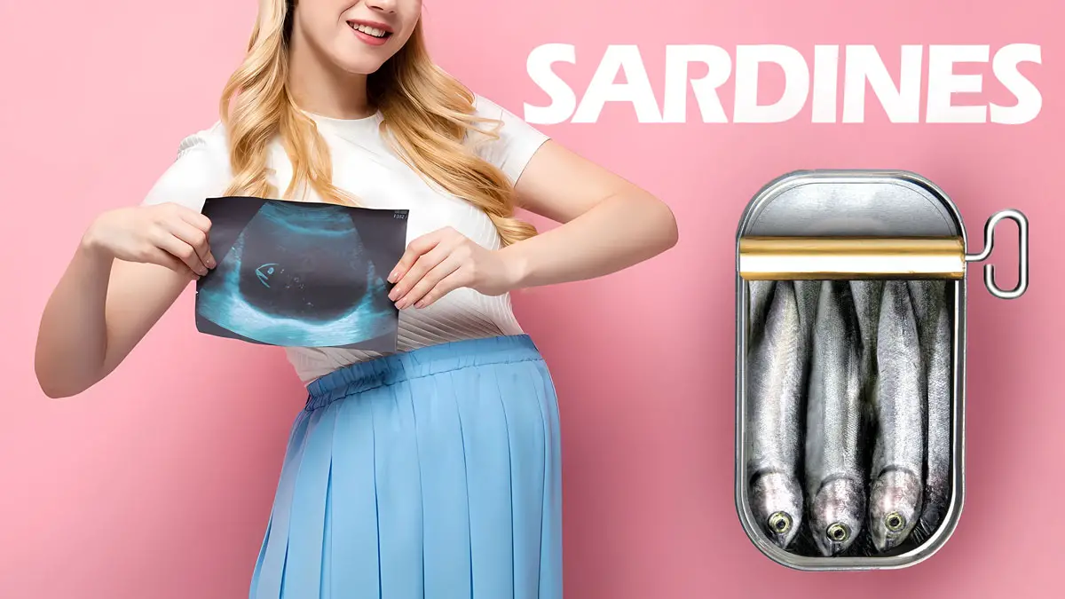 Sardines During Pregnancy
