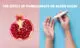 Does Pomegranate Increase Blood Sugar Level During Pregnancy?