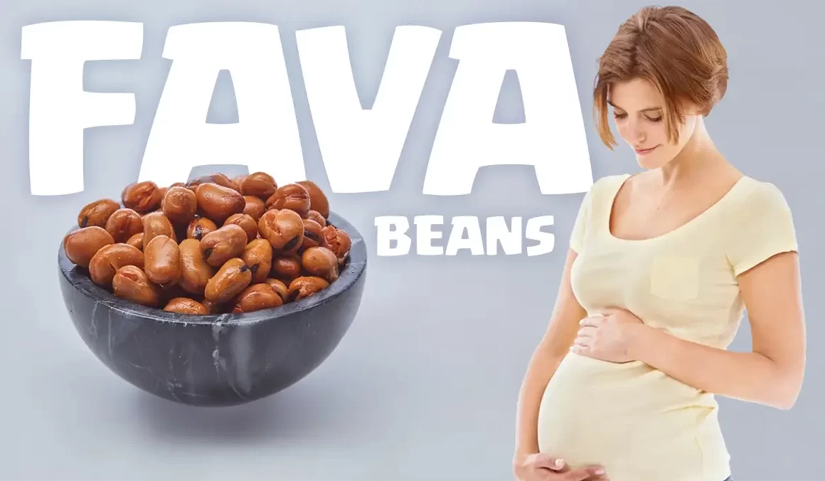 fava beans during pregnancy