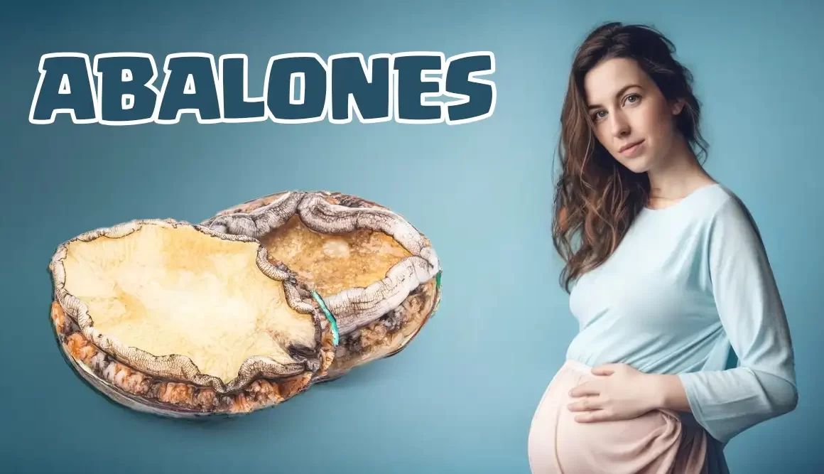 abalones in pregnancy